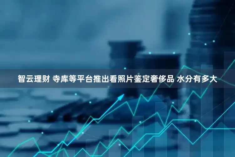智云理财 寺库等平台推出看照片鉴定奢侈品 水分有多大
