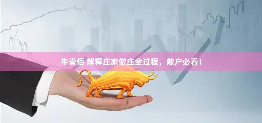牛壹佰 解释庄家做庄全过程，散户必看！