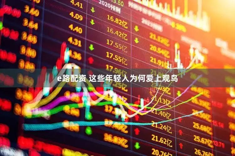 e路配资 这些年轻人为何爱上观鸟