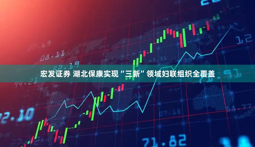 宏发证券 湖北保康实现“三新”领域妇联组织全覆盖