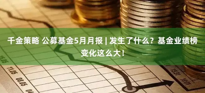 千金策略 公募基金5月月报 | 发生了什么？基金业绩榜变化这么大！