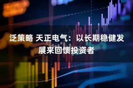 泛策略 天正电气：以长期稳健发展来回馈投资者